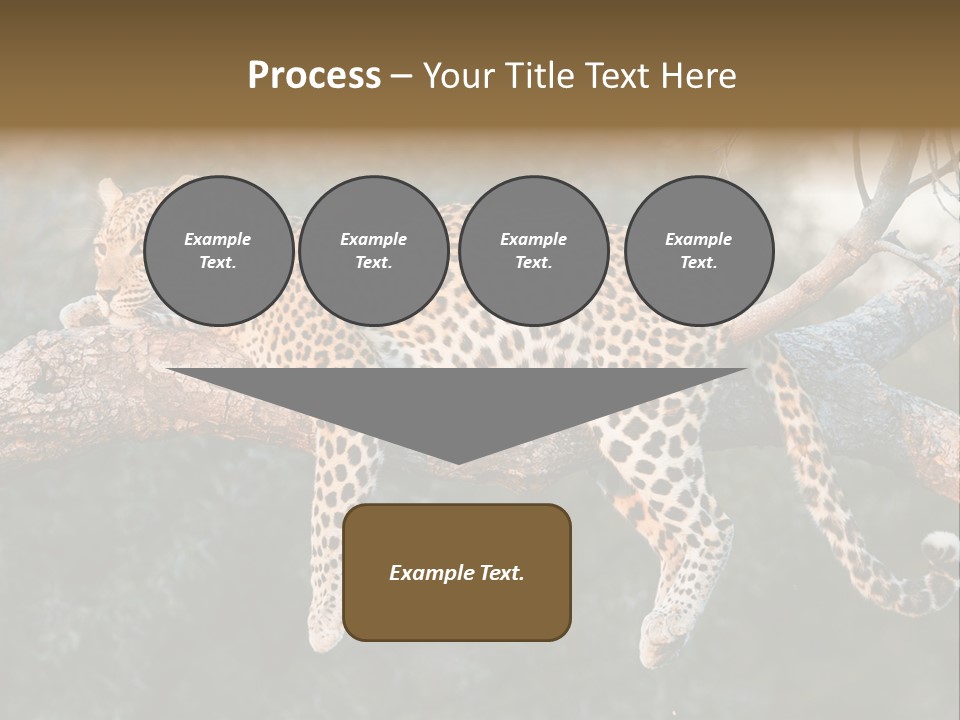 Botswana Well Fed Chitabe Camp PowerPoint Template