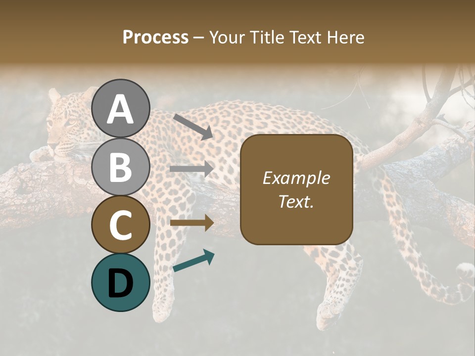Botswana Well Fed Chitabe Camp PowerPoint Template