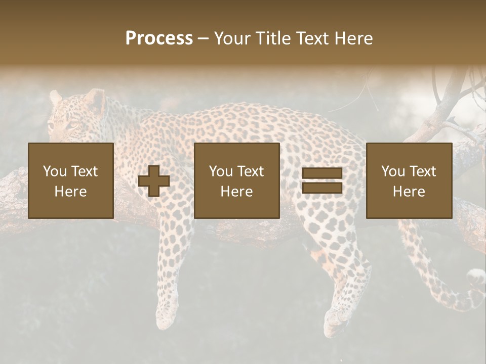 Botswana Well Fed Chitabe Camp PowerPoint Template