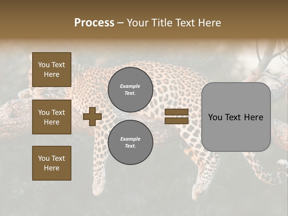 Botswana Well Fed Chitabe Camp PowerPoint Template