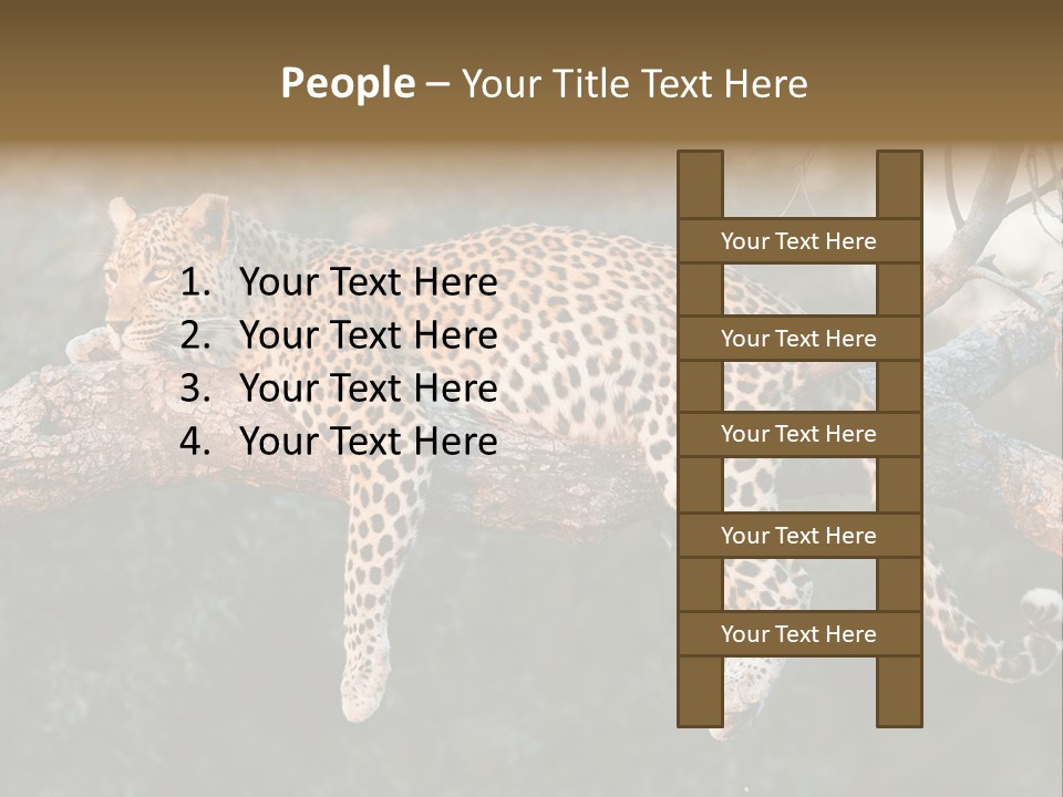 Botswana Well Fed Chitabe Camp PowerPoint Template