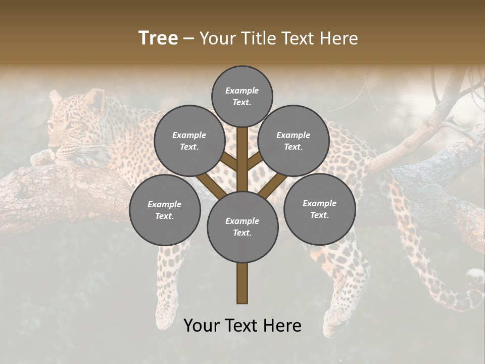 Botswana Well Fed Chitabe Camp PowerPoint Template