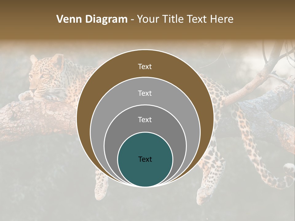 Botswana Well Fed Chitabe Camp PowerPoint Template