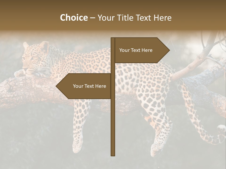 Botswana Well Fed Chitabe Camp PowerPoint Template