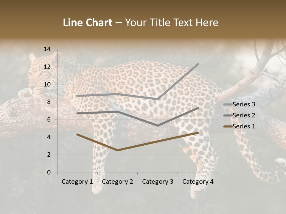 Botswana Well Fed Chitabe Camp PowerPoint Template