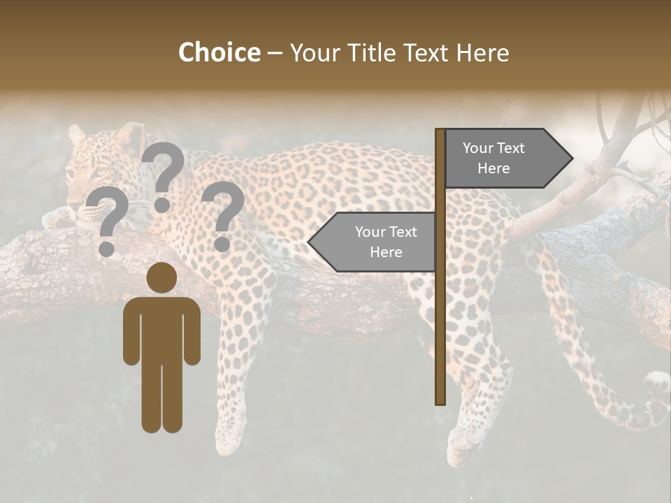 Botswana Well Fed Chitabe Camp PowerPoint Template