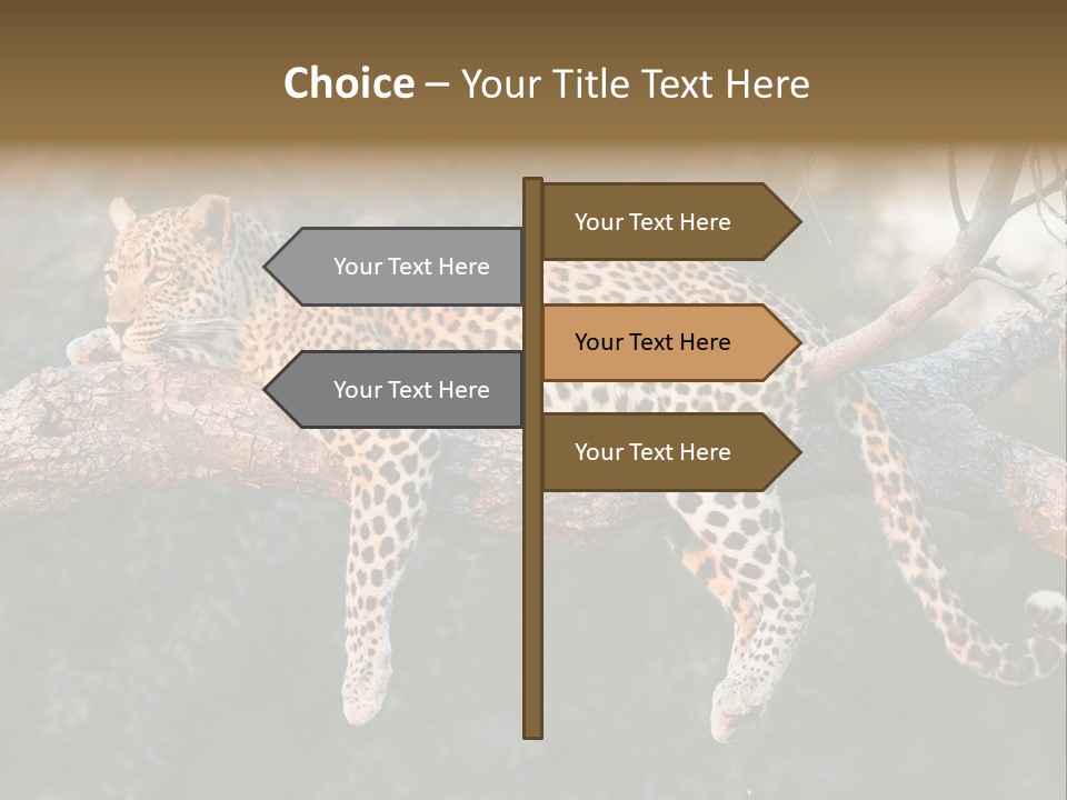 Botswana Well Fed Chitabe Camp PowerPoint Template