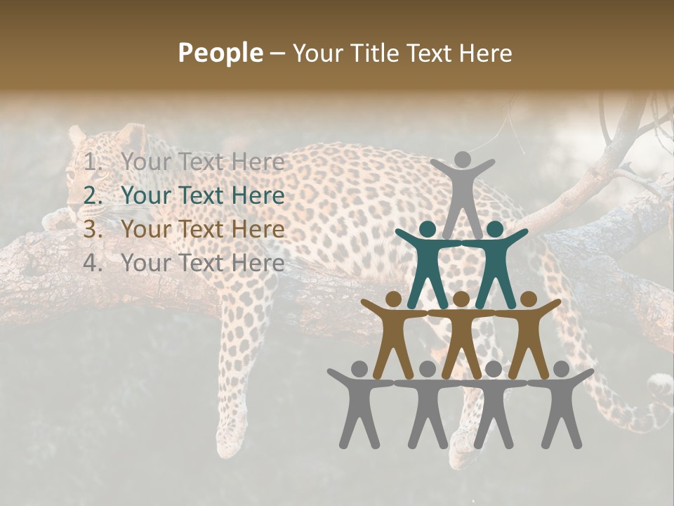 Botswana Well Fed Chitabe Camp PowerPoint Template