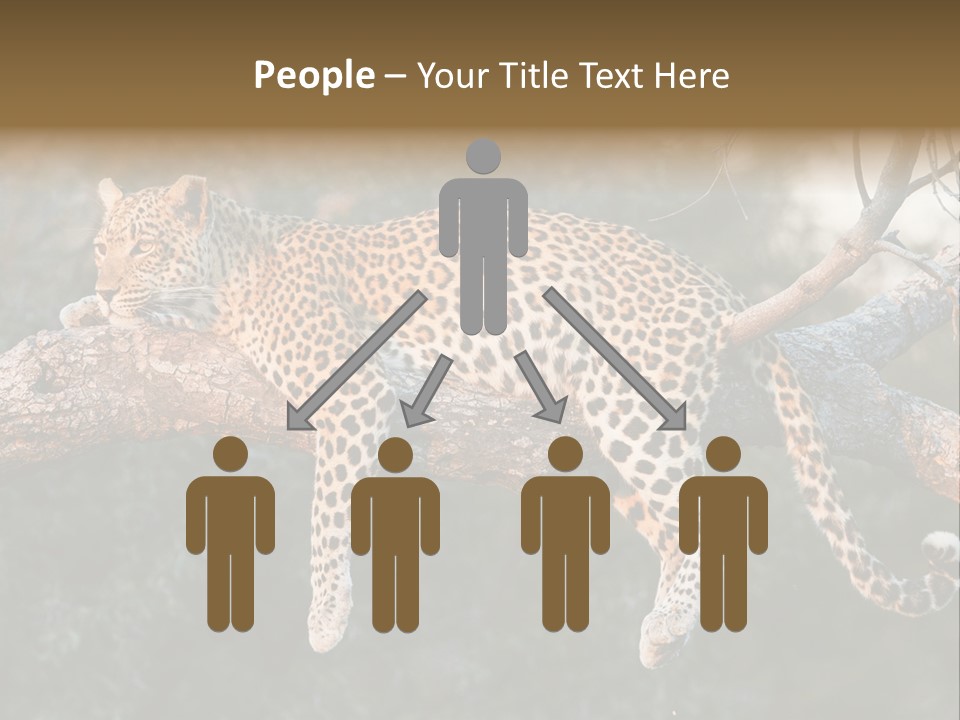 Botswana Well Fed Chitabe Camp PowerPoint Template