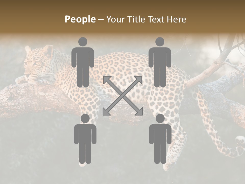 Botswana Well Fed Chitabe Camp PowerPoint Template