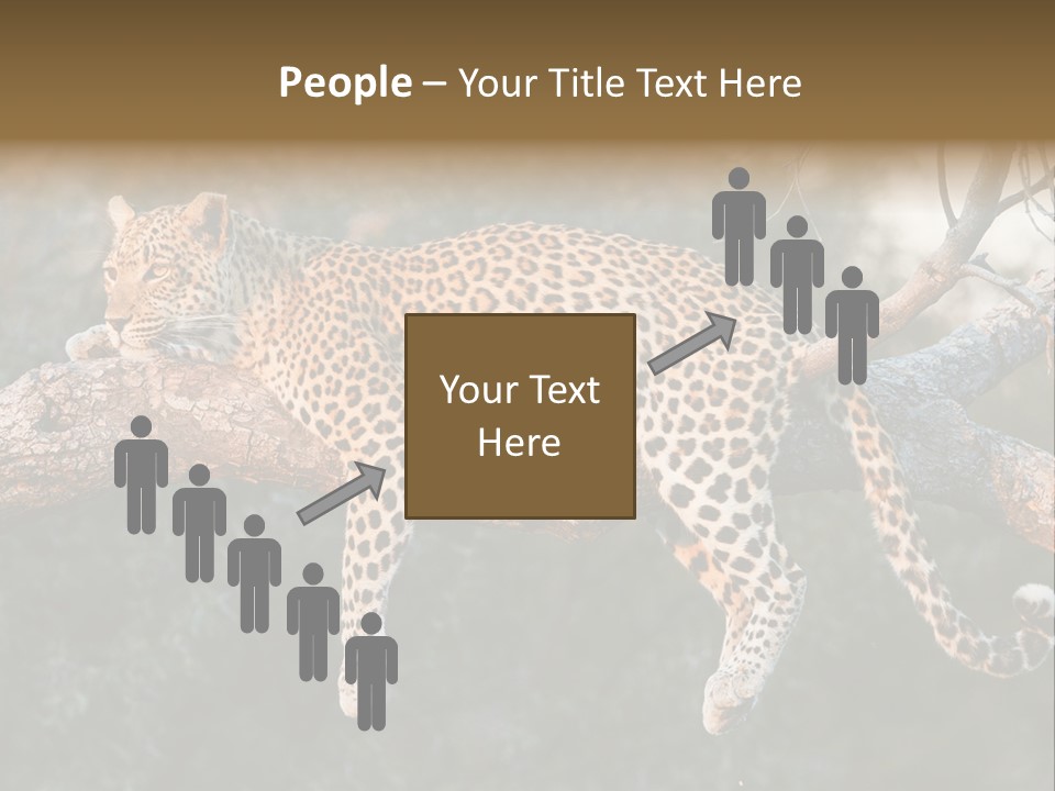 Botswana Well Fed Chitabe Camp PowerPoint Template