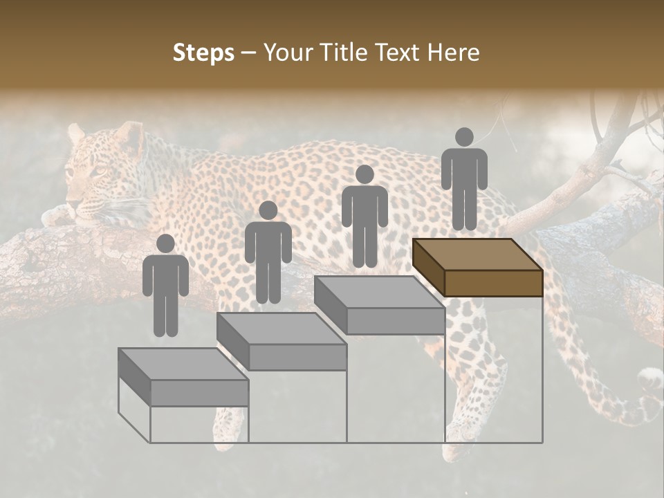 Botswana Well Fed Chitabe Camp PowerPoint Template