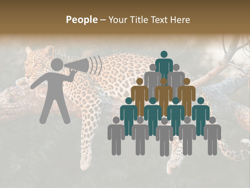 Botswana Well Fed Chitabe Camp PowerPoint Template