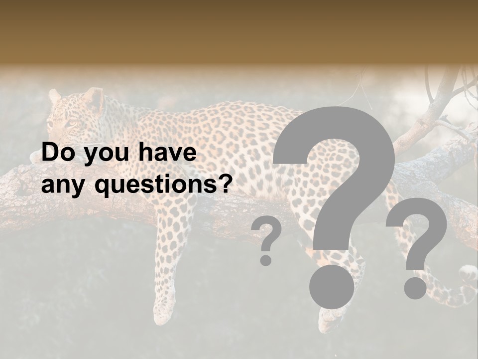 Botswana Well Fed Chitabe Camp PowerPoint Template