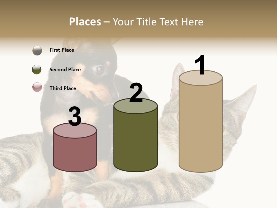 Friendly Lovely Look PowerPoint Template