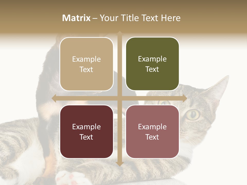 Friendly Lovely Look PowerPoint Template