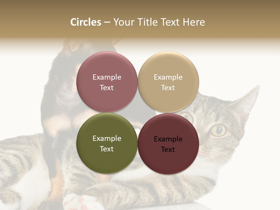 Friendly Lovely Look PowerPoint Template