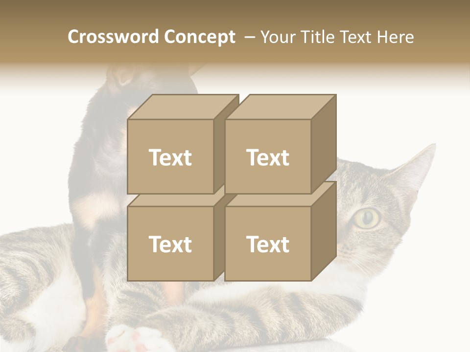 Friendly Lovely Look PowerPoint Template