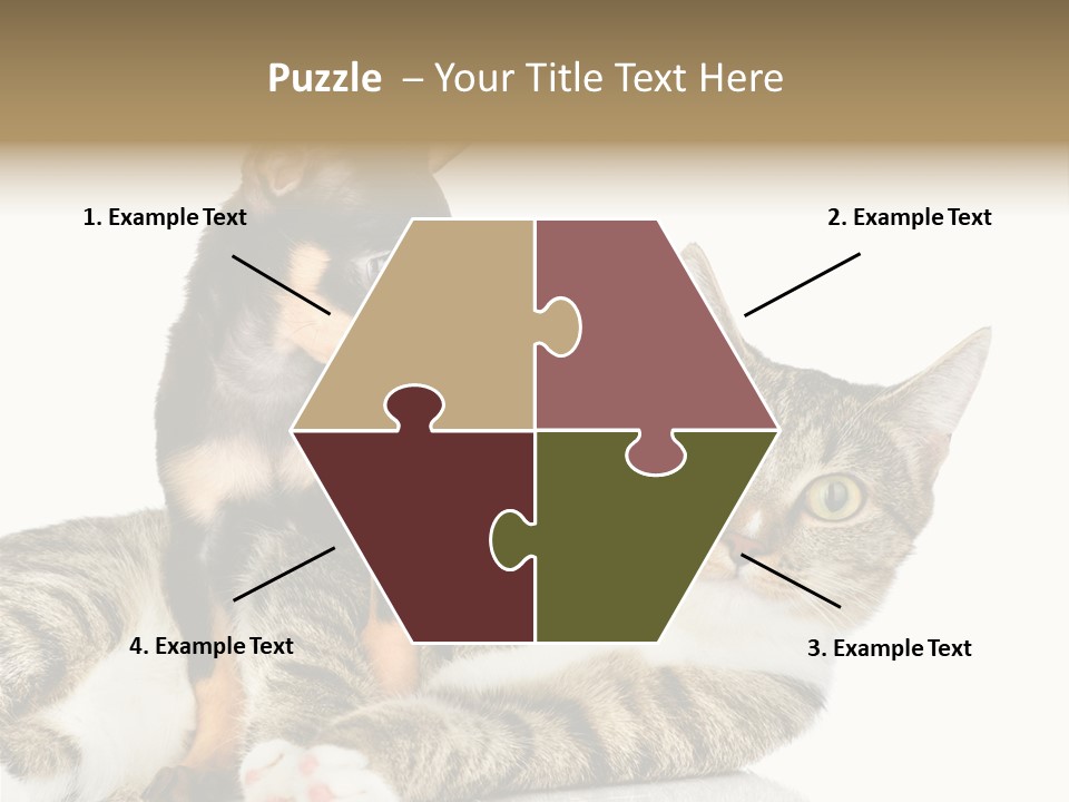 Friendly Lovely Look PowerPoint Template