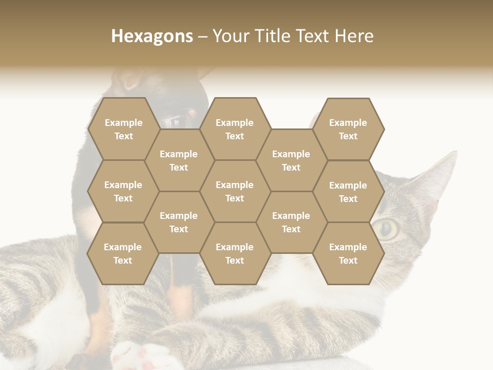 Friendly Lovely Look PowerPoint Template