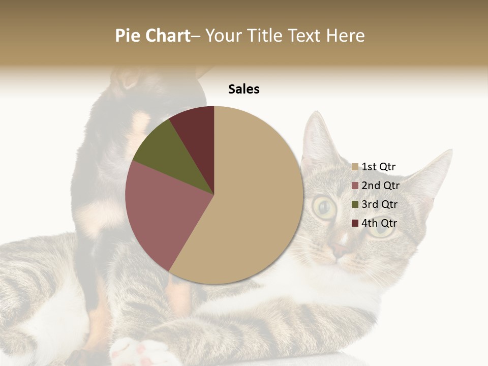 Friendly Lovely Look PowerPoint Template