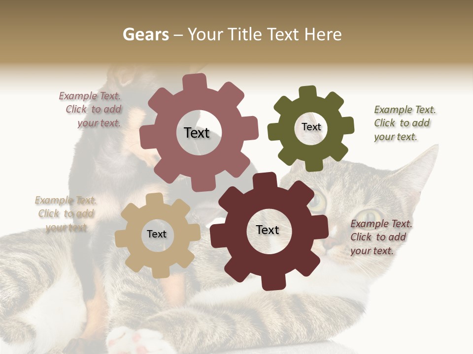 Friendly Lovely Look PowerPoint Template