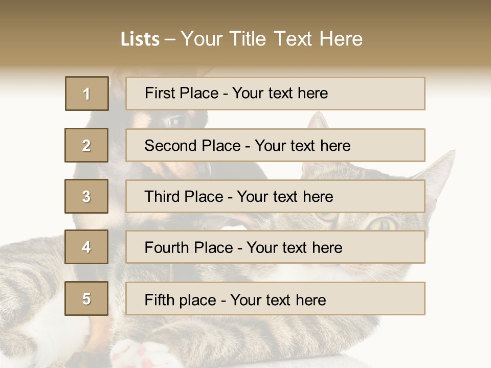 Friendly Lovely Look PowerPoint Template