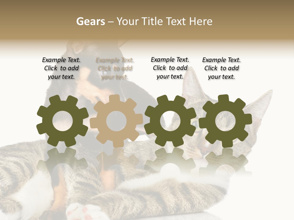 Friendly Lovely Look PowerPoint Template