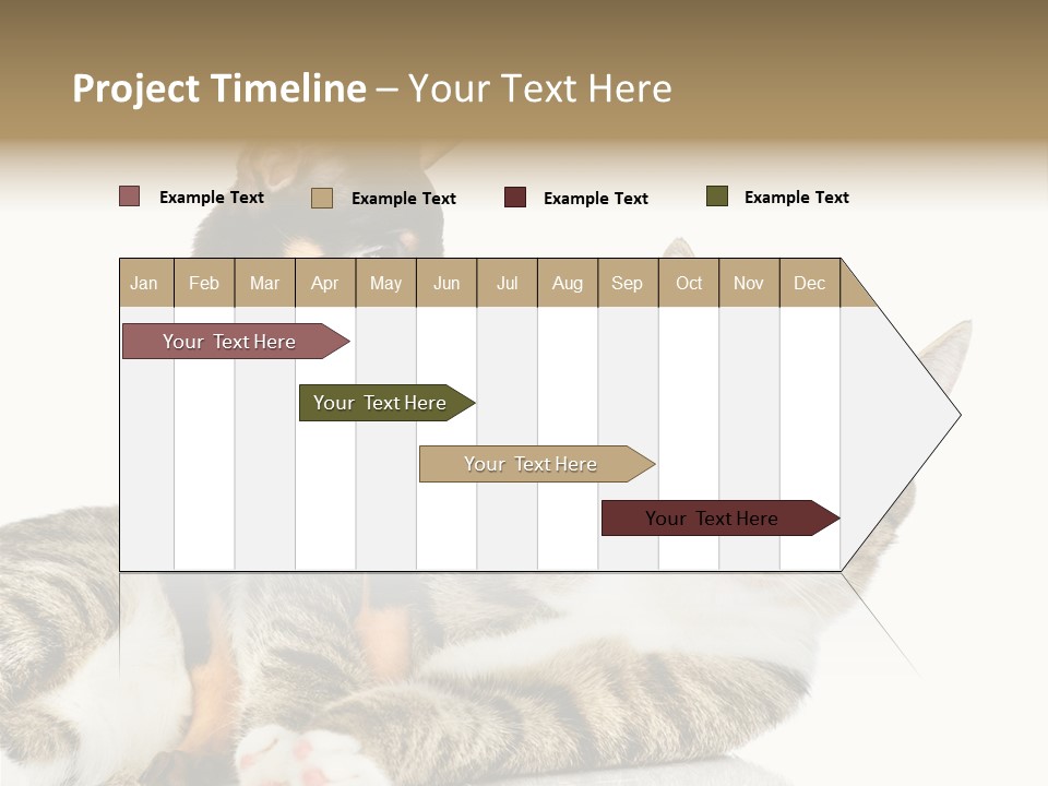 Friendly Lovely Look PowerPoint Template