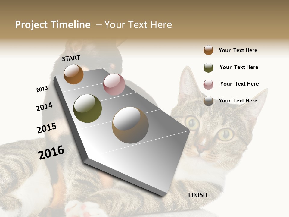 Friendly Lovely Look PowerPoint Template
