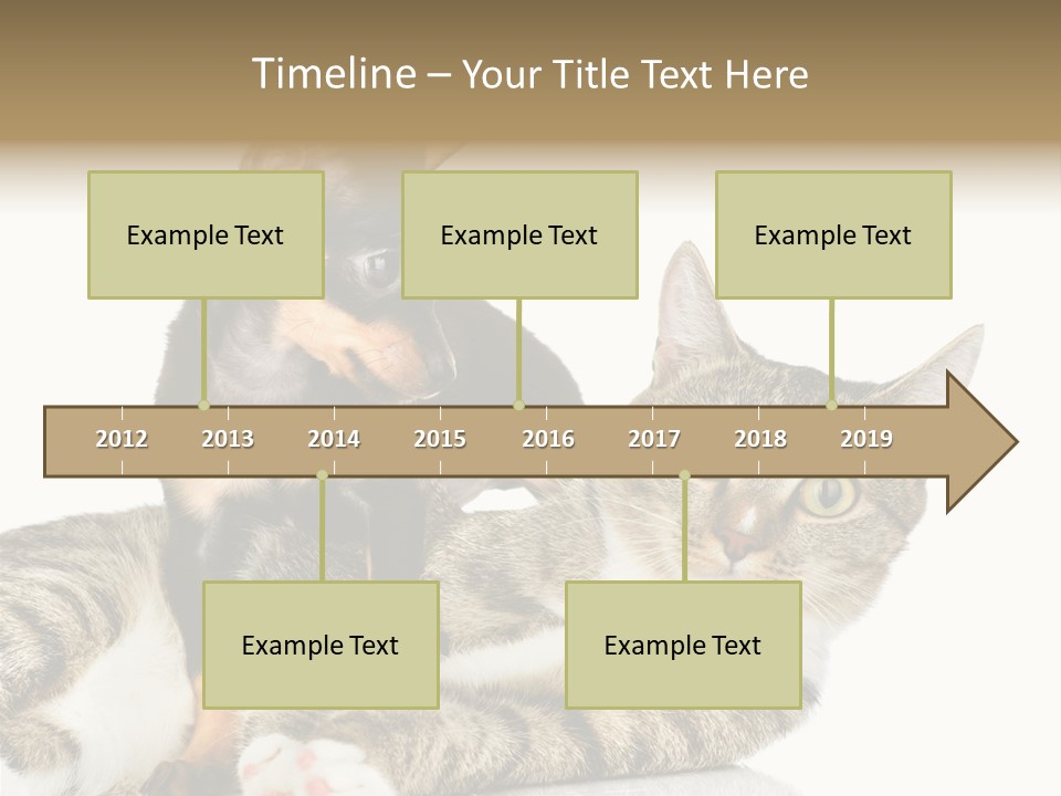 Friendly Lovely Look PowerPoint Template