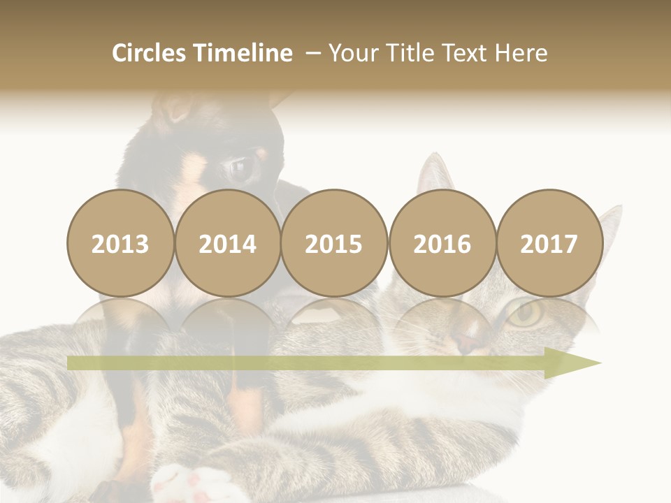 Friendly Lovely Look PowerPoint Template