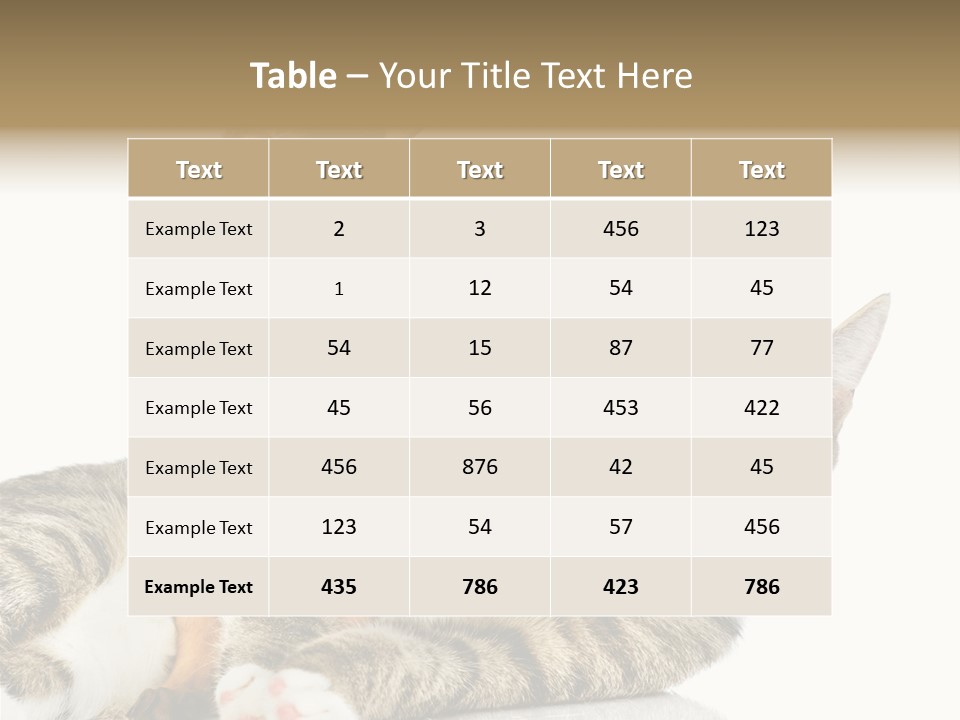 Friendly Lovely Look PowerPoint Template