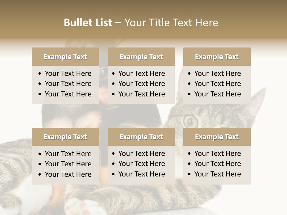 Friendly Lovely Look PowerPoint Template