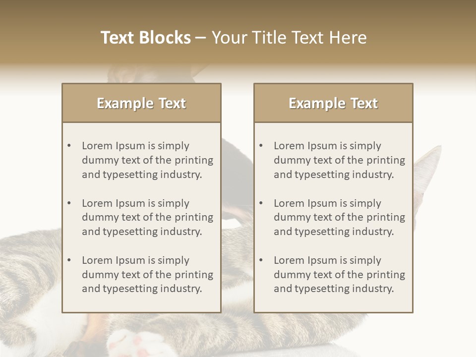 Friendly Lovely Look PowerPoint Template