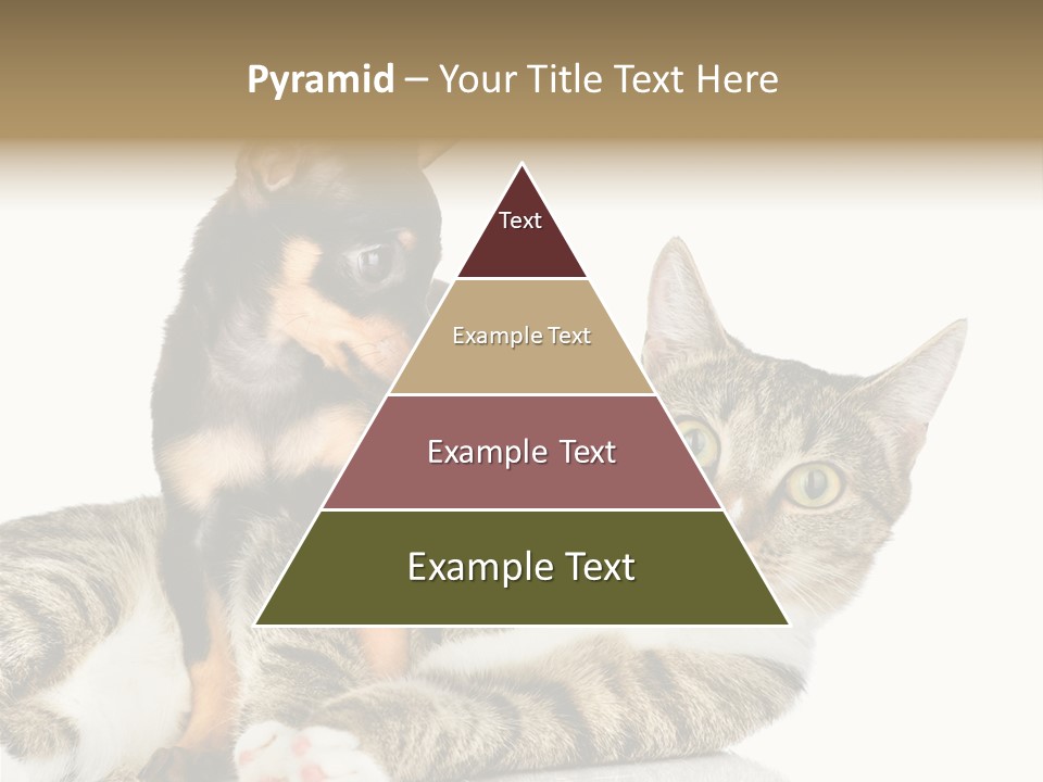 Friendly Lovely Look PowerPoint Template