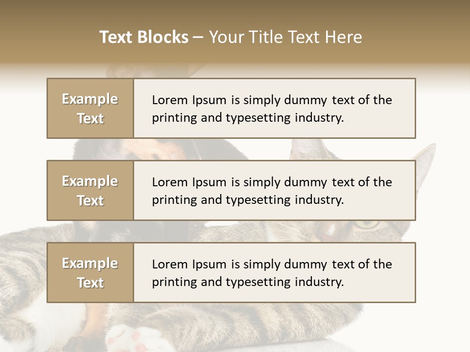 Friendly Lovely Look PowerPoint Template