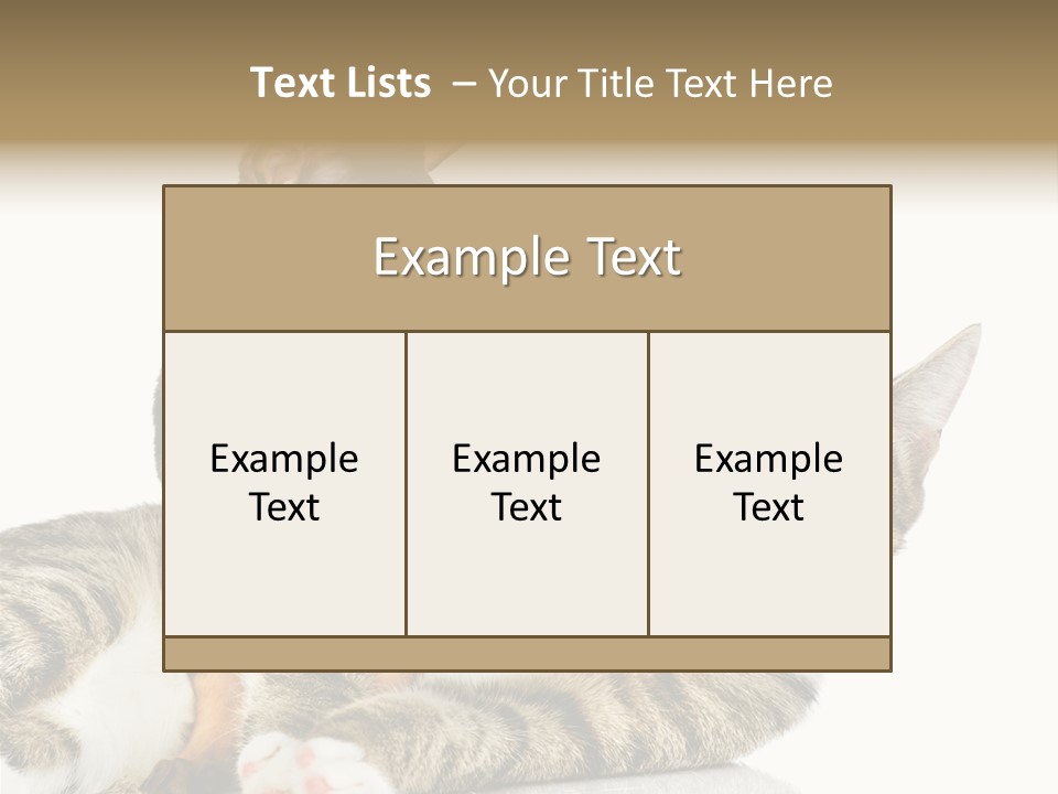 Friendly Lovely Look PowerPoint Template