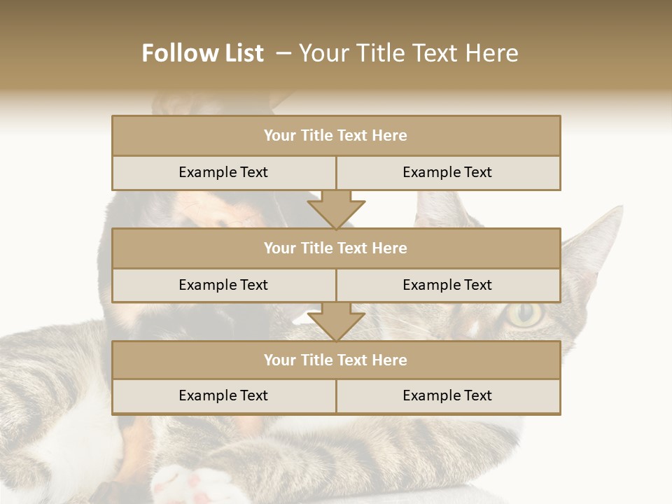 Friendly Lovely Look PowerPoint Template