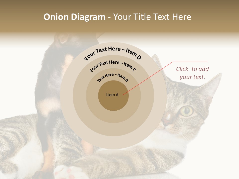 Friendly Lovely Look PowerPoint Template