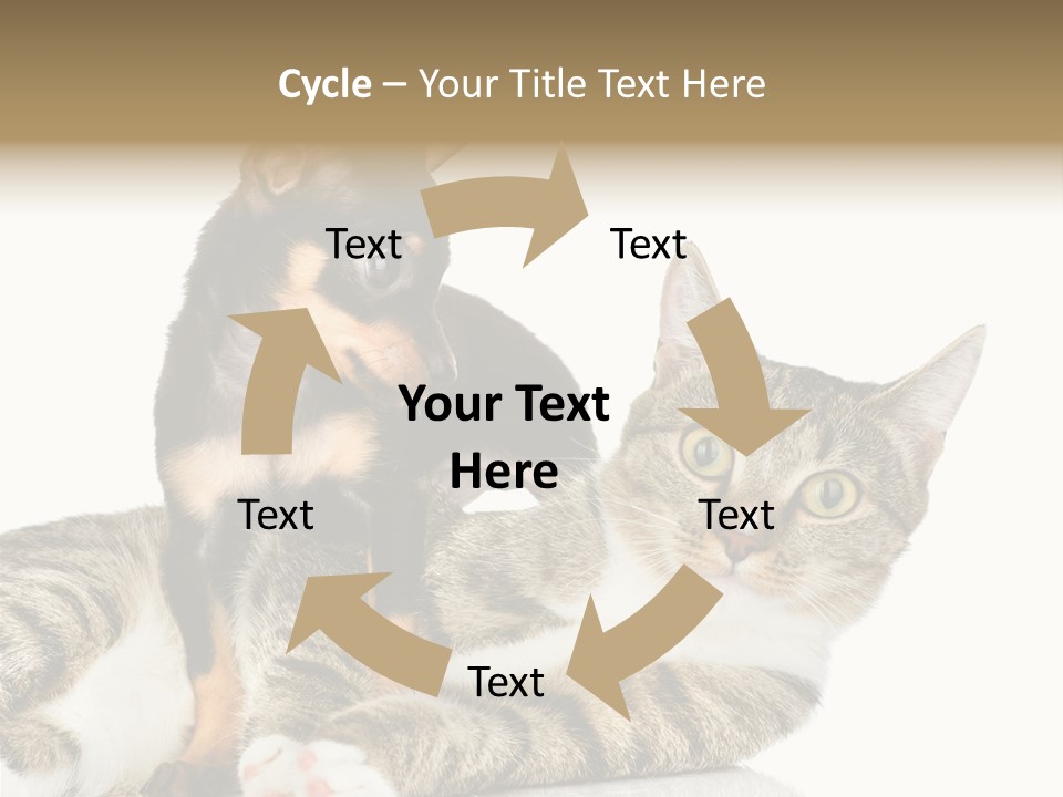 Friendly Lovely Look PowerPoint Template
