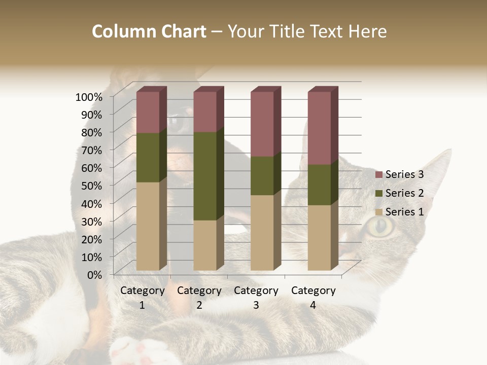 Friendly Lovely Look PowerPoint Template