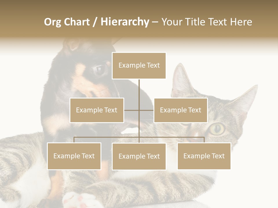 Friendly Lovely Look PowerPoint Template