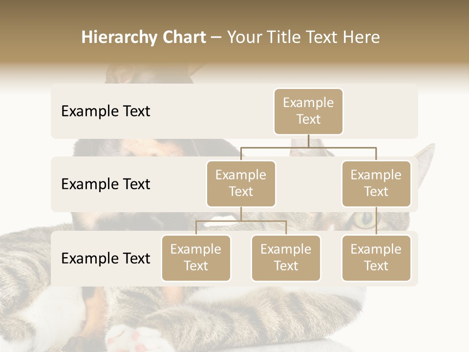 Friendly Lovely Look PowerPoint Template
