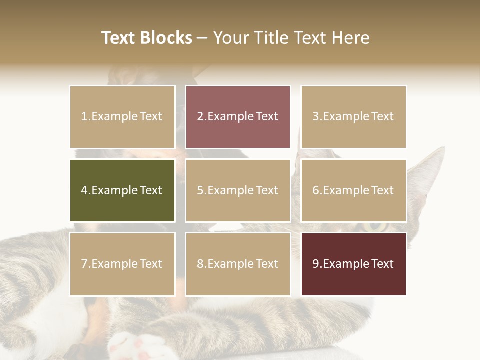 Friendly Lovely Look PowerPoint Template