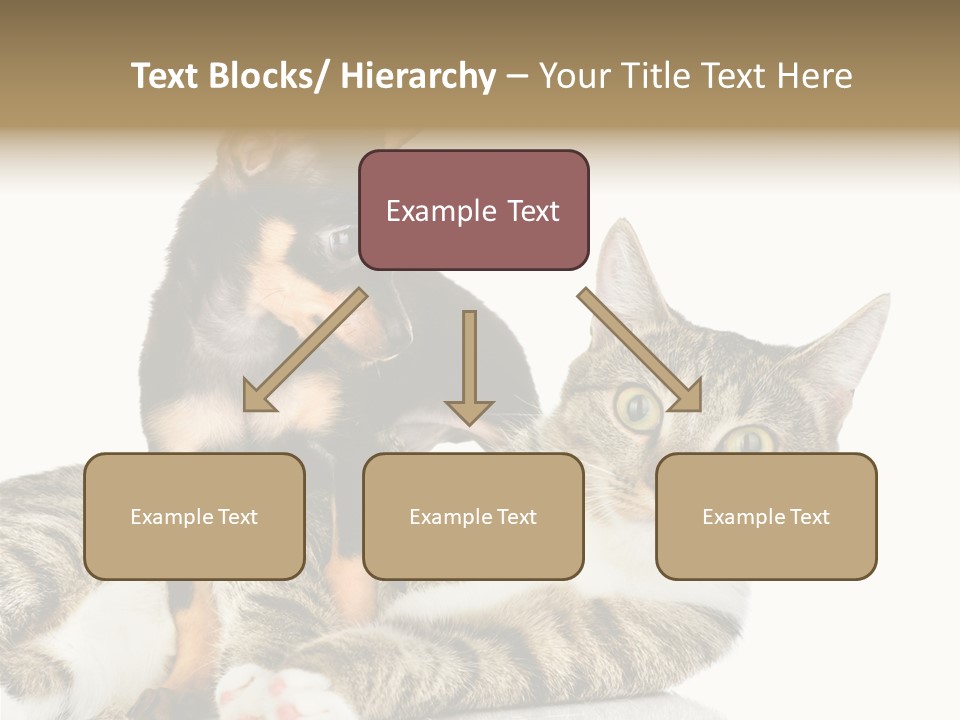 Friendly Lovely Look PowerPoint Template