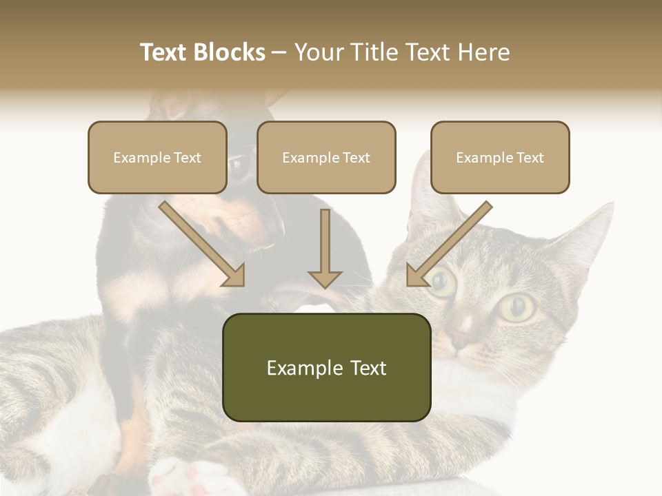 Friendly Lovely Look PowerPoint Template