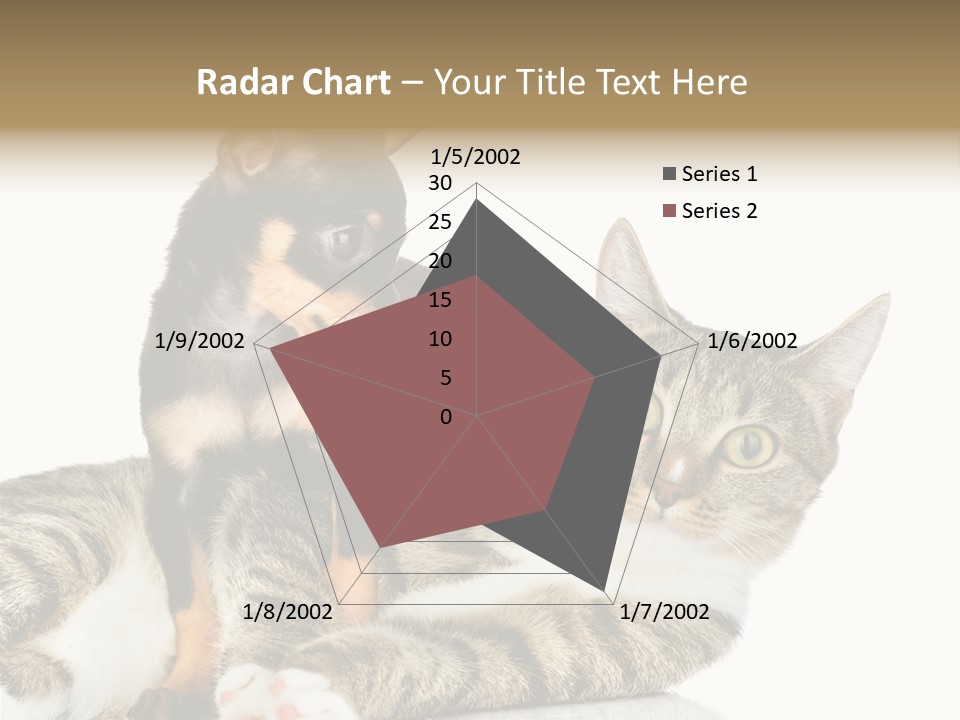 Friendly Lovely Look PowerPoint Template