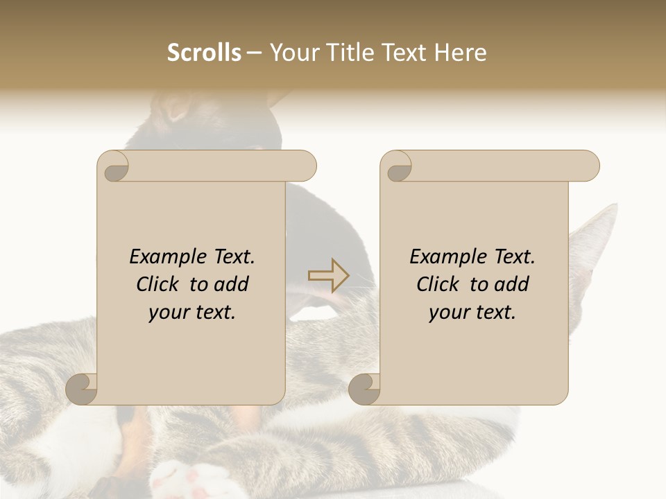 Friendly Lovely Look PowerPoint Template