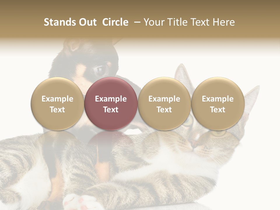 Friendly Lovely Look PowerPoint Template